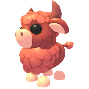 Angus Bull