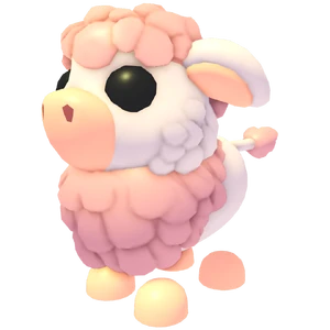 Angus Cow