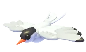 Arctic Tern