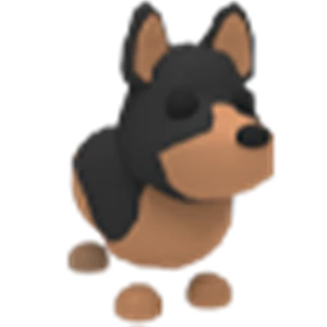 Australian Kelpie