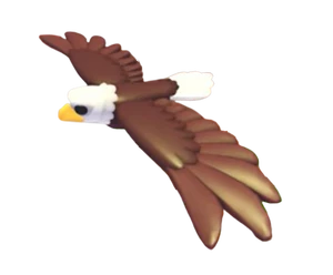 Bald Eagle