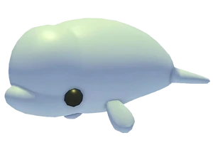 Beluga Whale