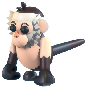 Capuchin Monkey