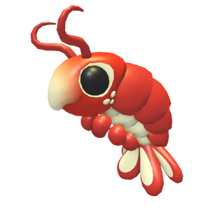 Emperor Shrimp