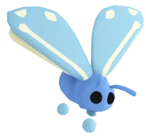 Glacier Moth