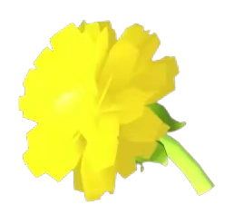 Golden Dandelion