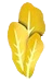 Golden Lettuce