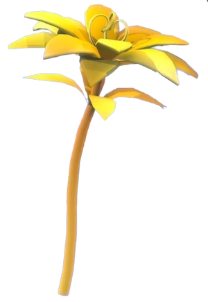Golden Petunia