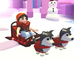 Husky Sled