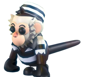 Inmate Capuchin Monkey (Pet)