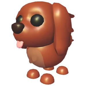 Irish Setter (Pet)
