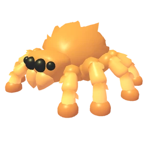 Jumping Spider