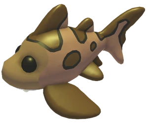 Leopard Shark
