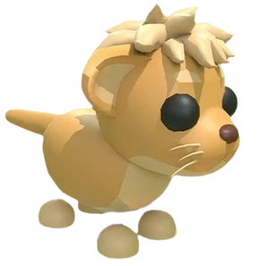 Lion Cub