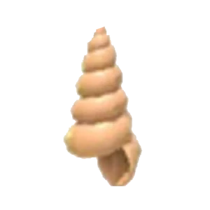 Musical Conch