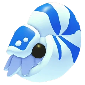 Nautilus