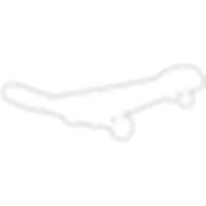 Neon White Skateboard