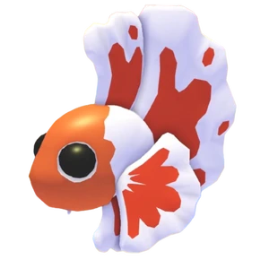 Orange Betta Fish