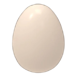 Pet Egg