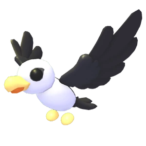 Pilot Gull
