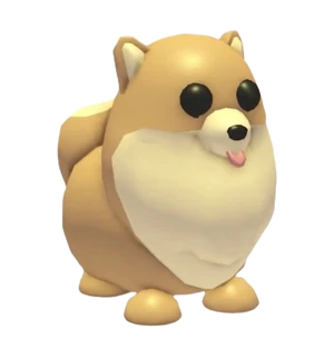 Pomeranian