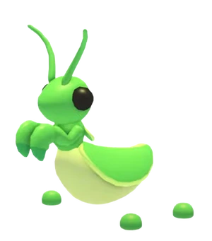 Praying Mantis (Pet)