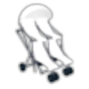 Quad Stroller