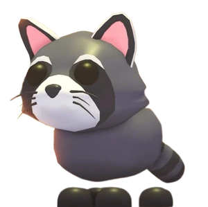 Raccoon