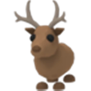 Reindeer