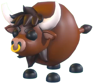Rodeo Bull