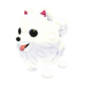 Samoyed