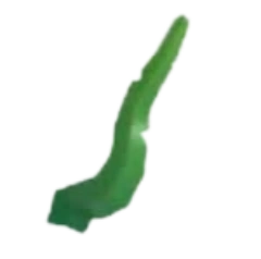 Seaweed