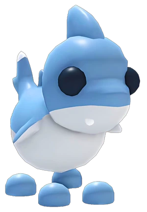 Shark Puppy