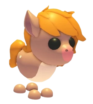 Show Pony