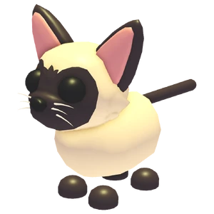Siamese Cat