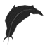 Slimingo Feather Teleporter