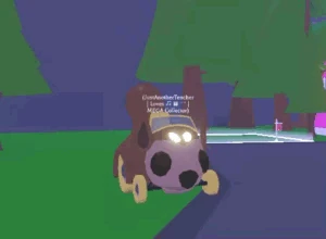 Squirrel Car