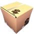 Stylish Pack