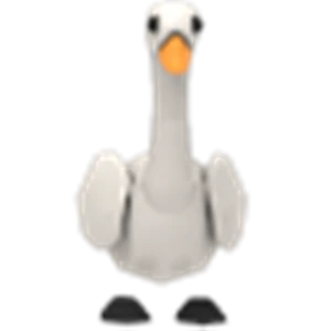Swan