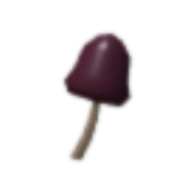 Tall Mushroom