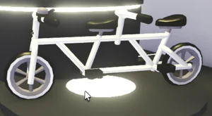 Tandem Bicycle