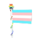 Transgender Flag 2023