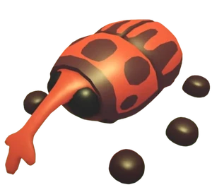 Weevil (Pet)