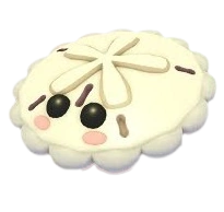 White Sand Dollar
