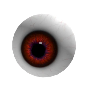 Eyeball